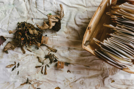 flower heads on a table next to a box of seed packets